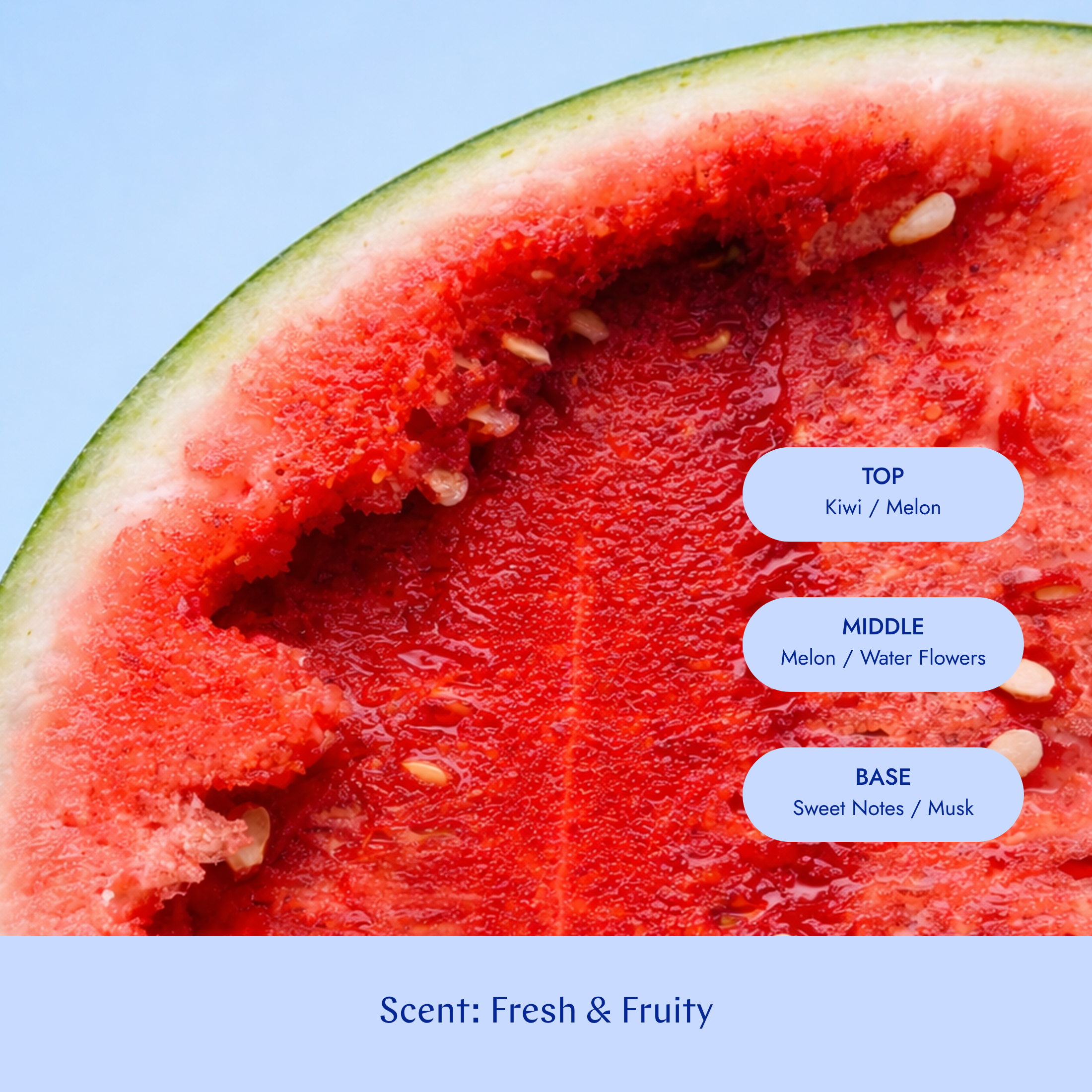 Repair Leave-in Conditioner